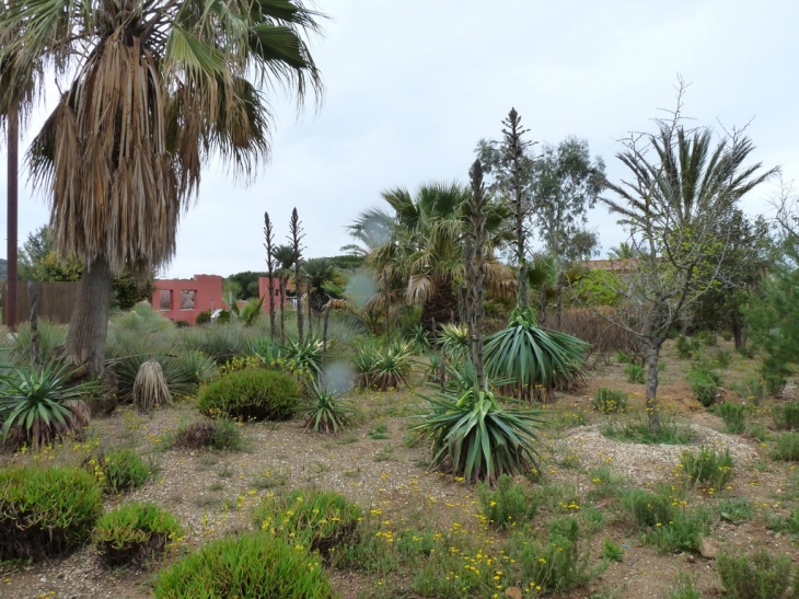 Le jardin des Sablettes - La Seyne-sur-Mer