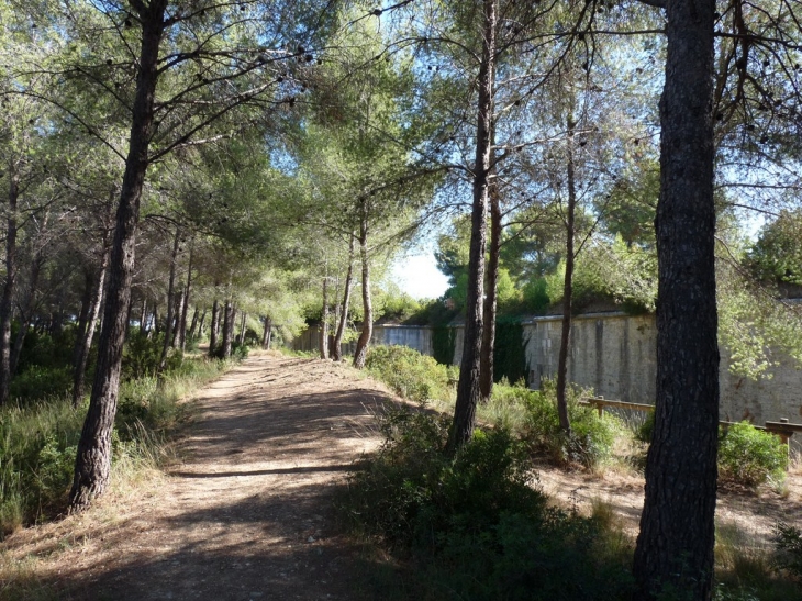 Le fort Napoléon - La Seyne-sur-Mer