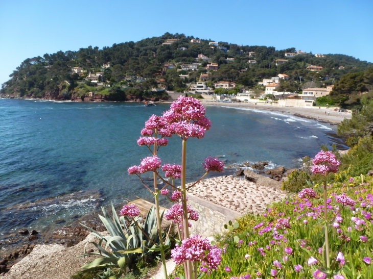 La Seyne sur mer  - La Seyne-sur-Mer