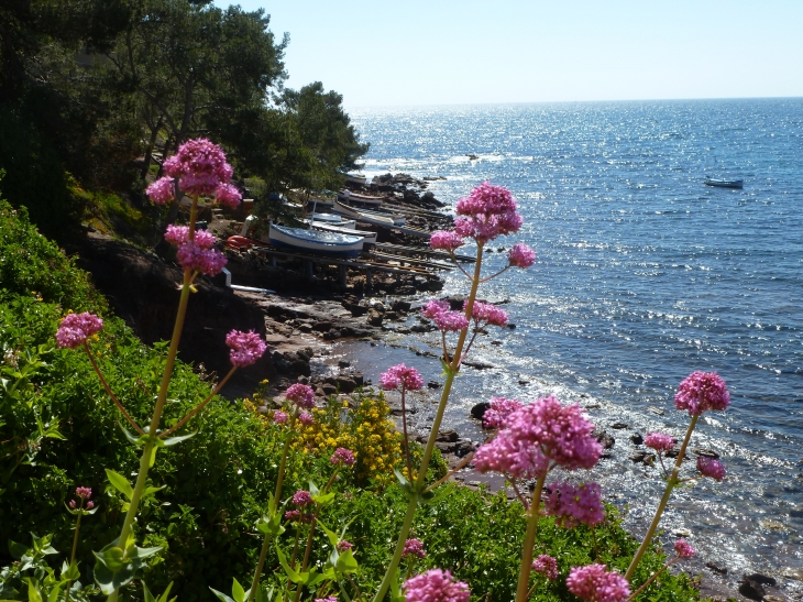 Sentier du littoral à La Seyne sur mer  - La Seyne-sur-Mer