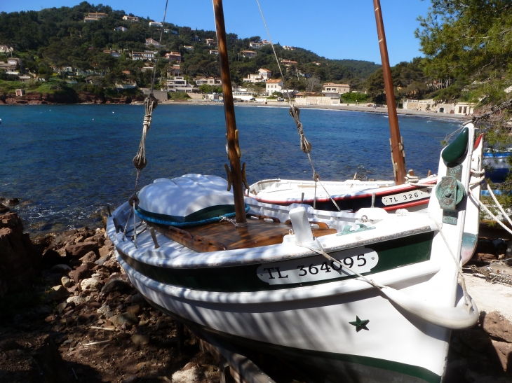 Sentier du littoral à La Seyne sur mer  - La Seyne-sur-Mer