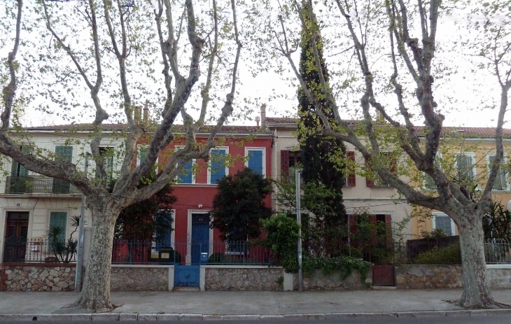 Une rue bordée de platanes - La Seyne-sur-Mer