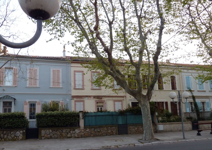 Une rue bordée de platanes - La Seyne-sur-Mer