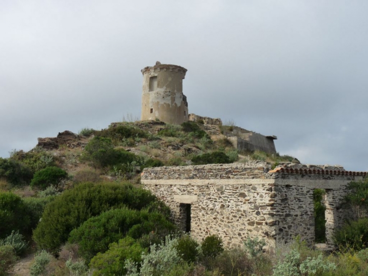 Sur le  sommet du cap - La Seyne-sur-Mer