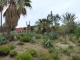 Photo précédente de La Seyne-sur-Mer le jardin des Sablettes