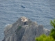 Photo suivante de La Seyne-sur-Mer Le cap Sicié