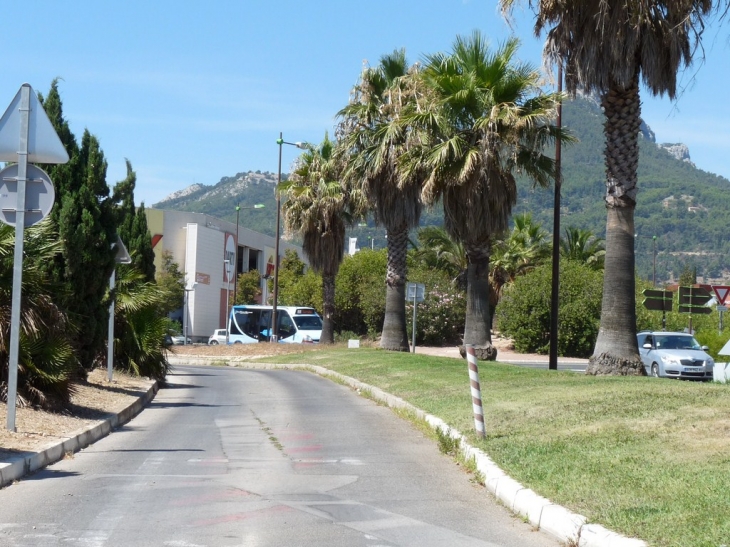 Avenue de l'Université - La Valette-du-Var