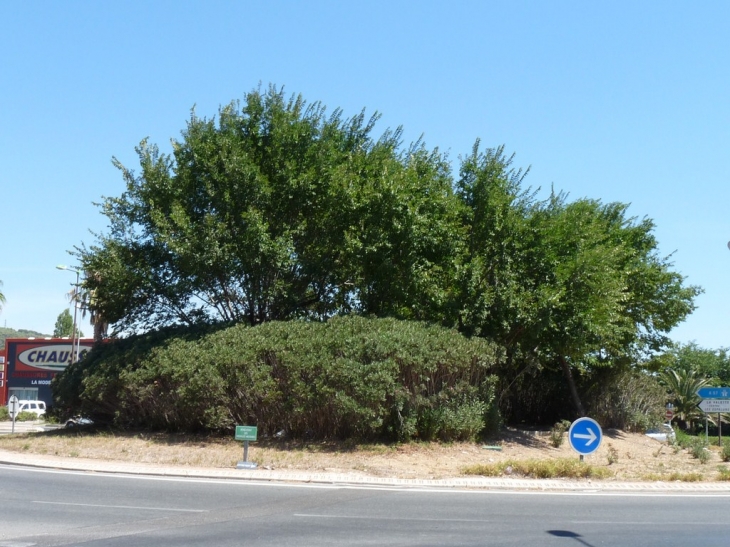 Le rond point des Médaillés Militaires - La Valette-du-Var