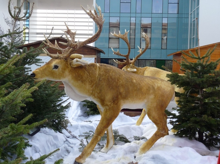 Noël 2012 ,place du Général de Gaulle - La Valette-du-Var