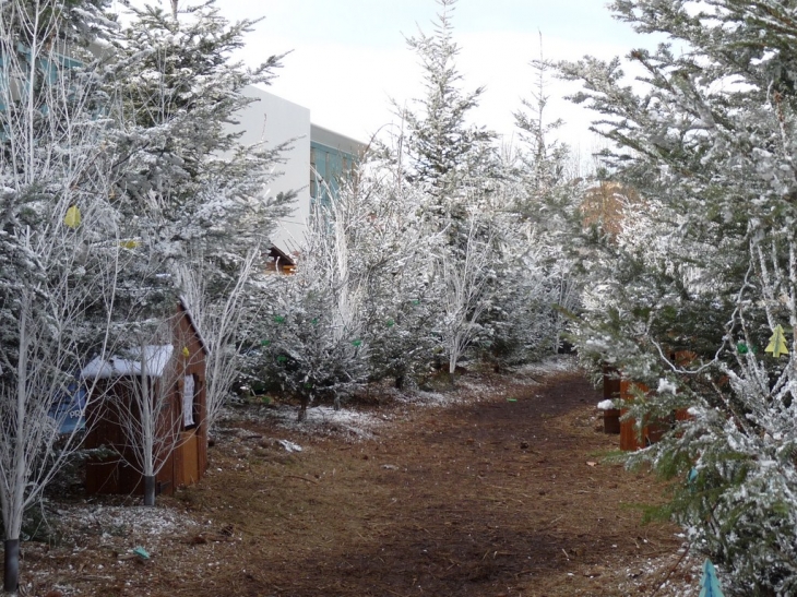 Noël 2012 ,place du Général de Gaulle - La Valette-du-Var