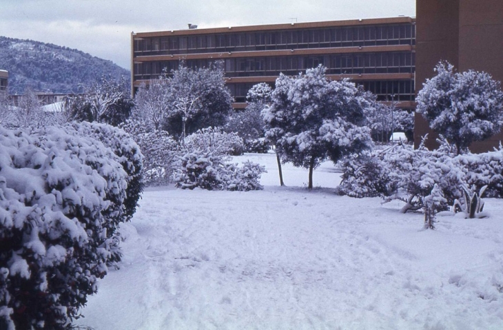 Sous la neige en janvier1985 - La Valette-du-Var