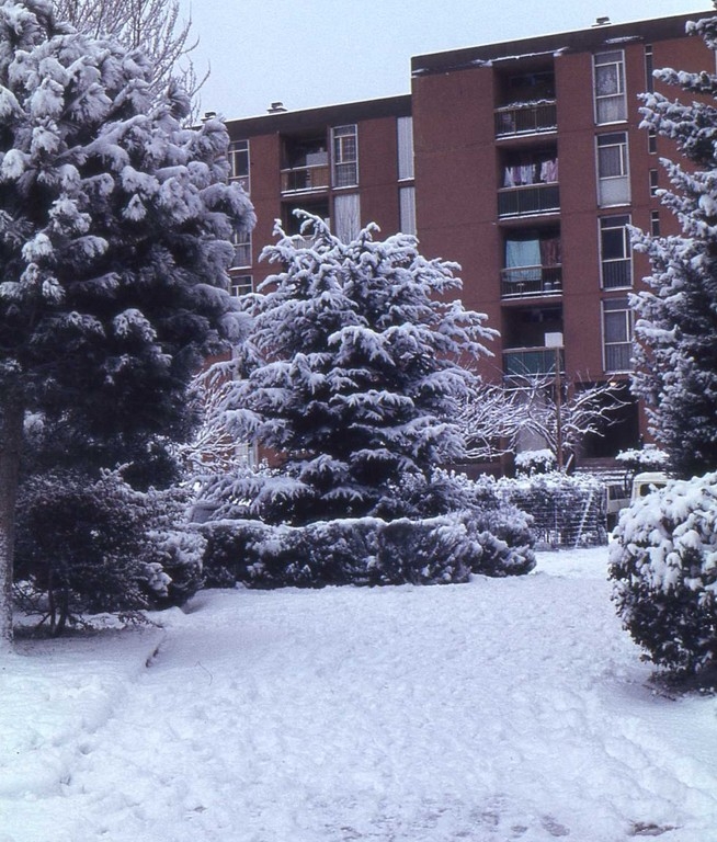 Sous la neige en janvier1985 - La Valette-du-Var