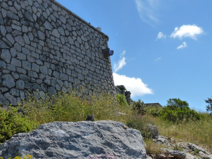 Le mont Coudon , 702 m - La Valette-du-Var