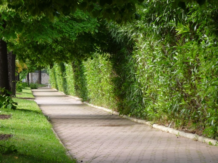 Contre allée , rue Sainte Cécile - La Valette-du-Var