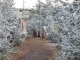 Photo suivante de La Valette-du-Var Noël 2012 ,place du Général de Gaulle