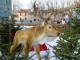 Photo suivante de La Valette-du-Var Noël 2012 ,place du Général de Gaulle