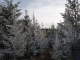 Photo suivante de La Valette-du-Var Noël 2012 ,place du Général de Gaulle