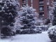 Photo précédente de La Valette-du-Var sous la neige en janvier1985