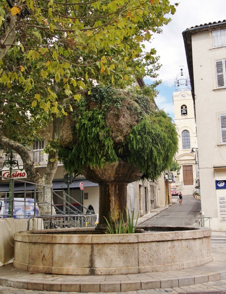 Fontaine - Le Beausset