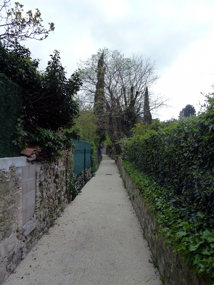 Ruelle parmi les jardins - Le Beausset