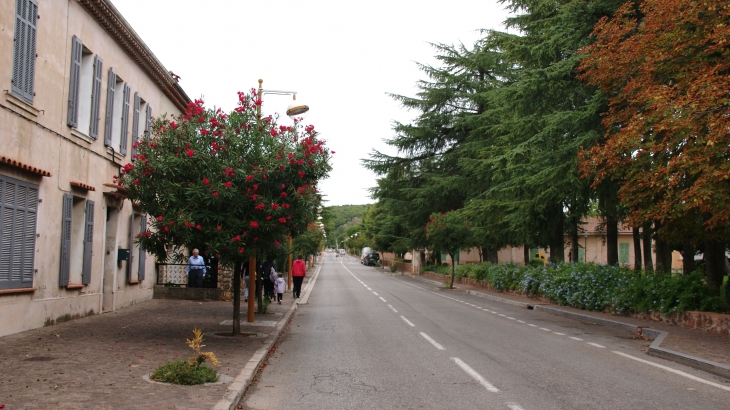  - Le Cannet-des-Maures