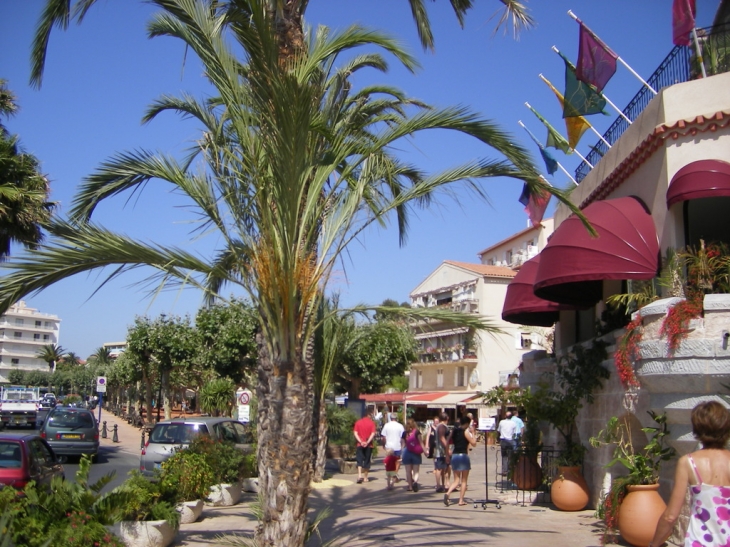 Place de la mairie - Le Lavandou