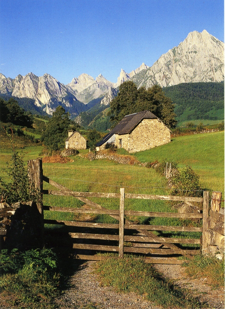 Les Mayons (carte postale de 1990) - Le Luc