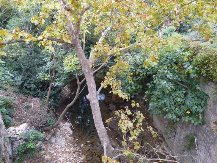 La rivière le Las - Le Revest-les-Eaux