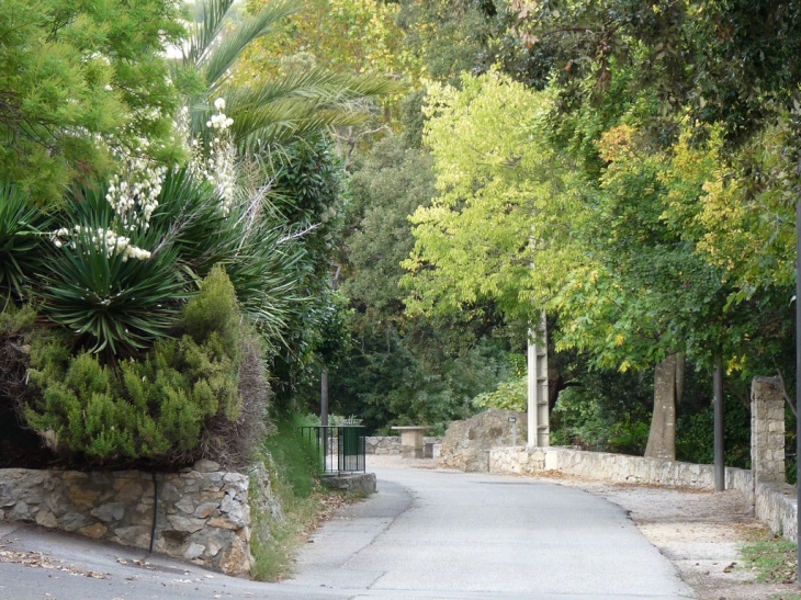 Chemin du chateau - Le Revest-les-Eaux