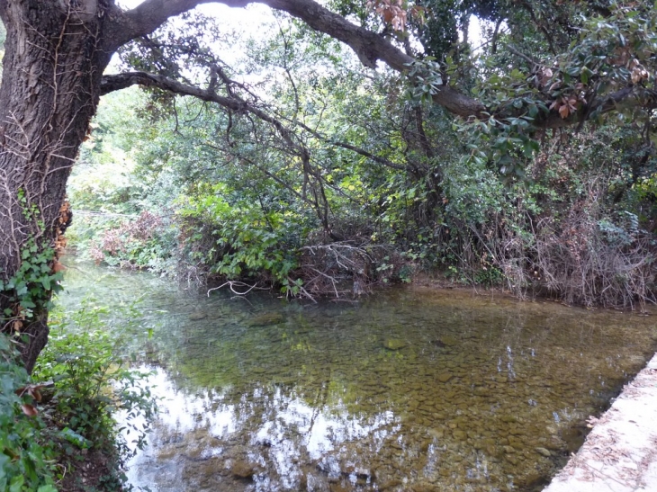 La rivière le Las - Le Revest-les-Eaux