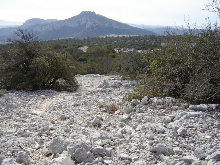 Vue du Grand Cap,le Mont Caumes - Le Revest-les-Eaux