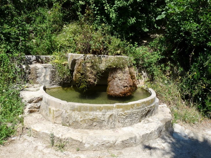 Le parc  et jardin du village - Le Val