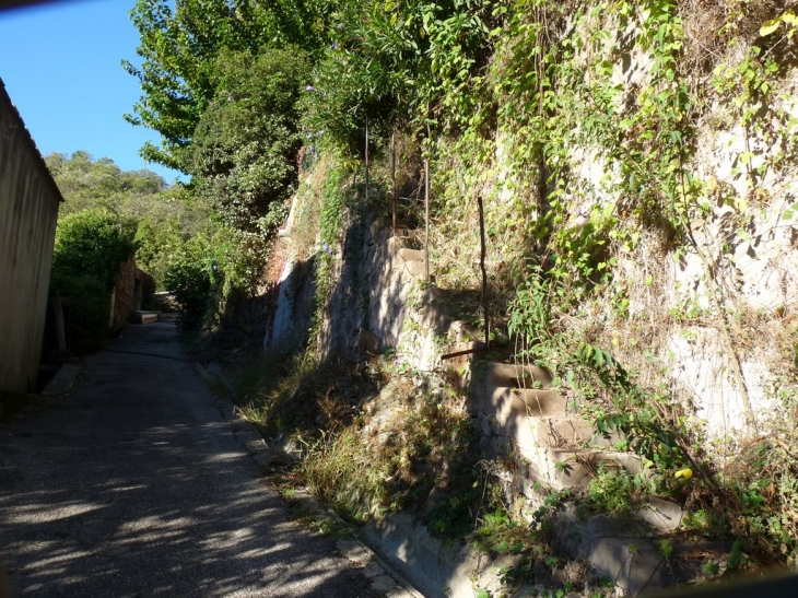 Chemin D'Arné - Les Mayons