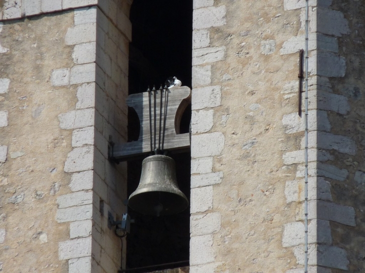 Collegiale Saint Martin - Lorgues