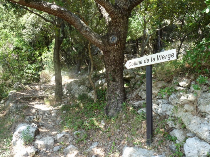 Le chemin de la colline  - Méounes-lès-Montrieux