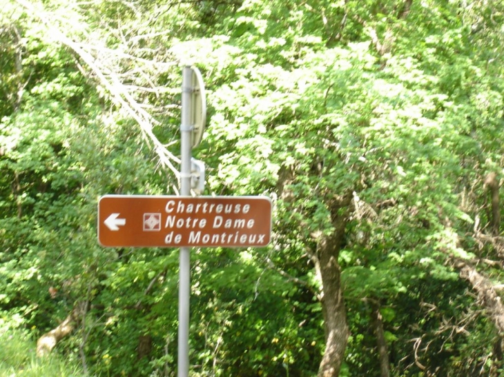 Vers la chartreuse de Montrieux - Méounes-lès-Montrieux