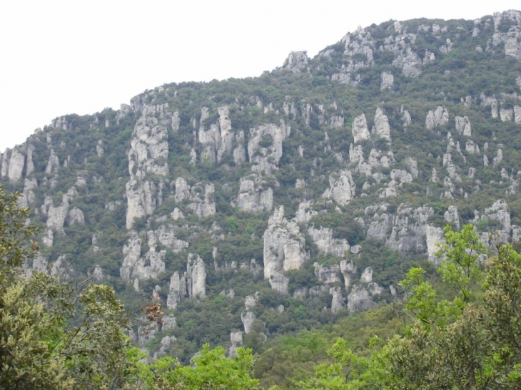 Les aiguilles de Valbelle - Méounes-lès-Montrieux