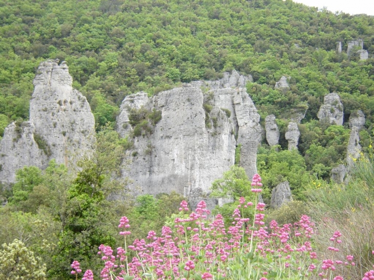 Les aiguilles de Valbelle - Méounes-lès-Montrieux