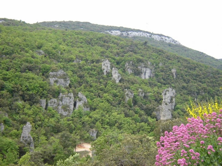 Les aiguilles de Valbelle - Méounes-lès-Montrieux