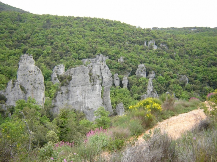 Les aiguilles de Valbelle - Méounes-lès-Montrieux