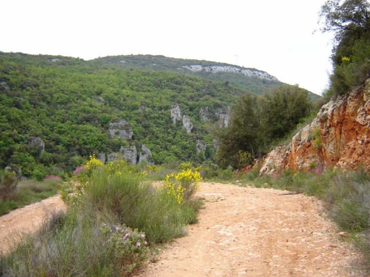 Les aiguilles de Valbelle - Méounes-lès-Montrieux