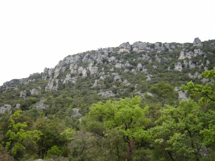 Les aiguilles de Valbelle - Méounes-lès-Montrieux