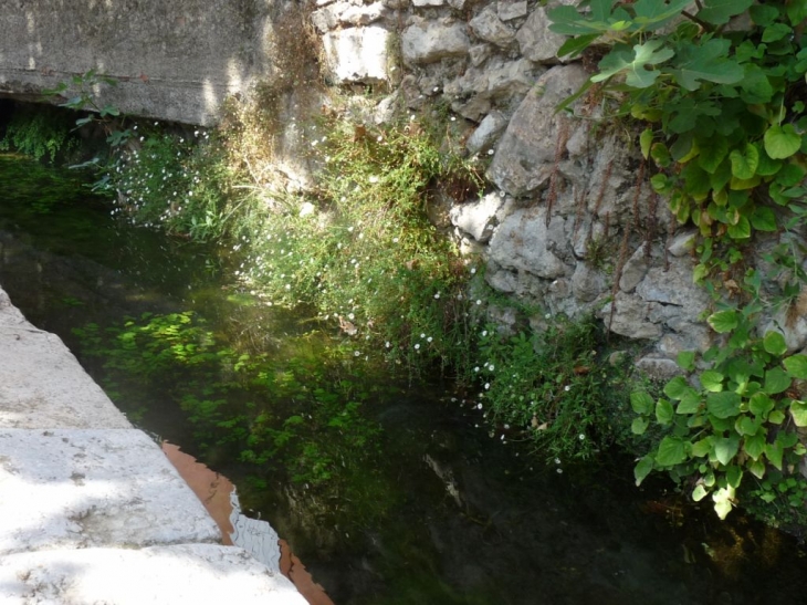 Dans le village - Méounes-lès-Montrieux