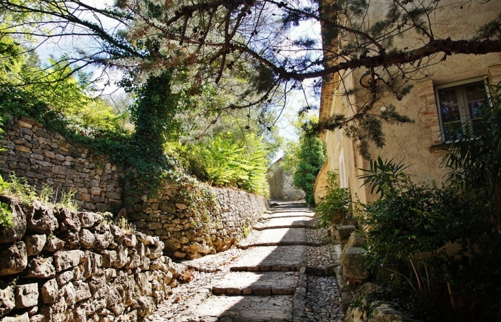 Le Village - Méounes-lès-Montrieux