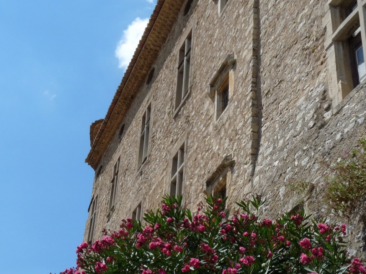 Le chateau - Montfort-sur-Argens