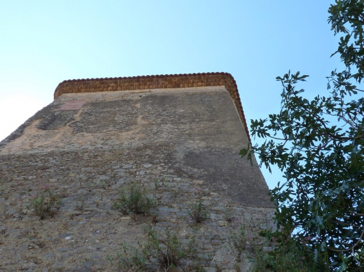 Le chateau - Montfort-sur-Argens