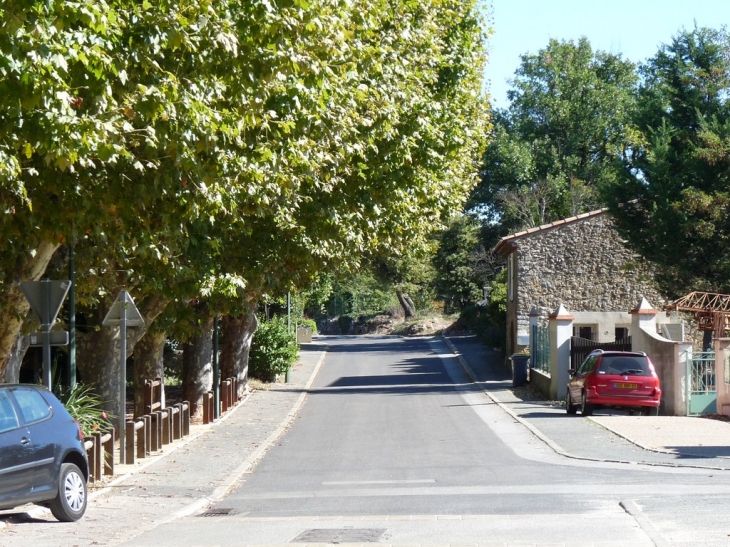 Route d'accès au village - Néoules