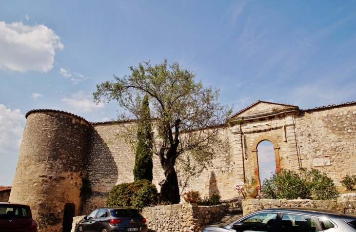 Ruines du Château - Pontevès