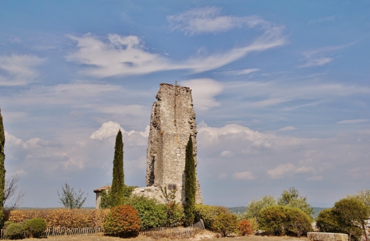 Ruines du Château - Pontevès