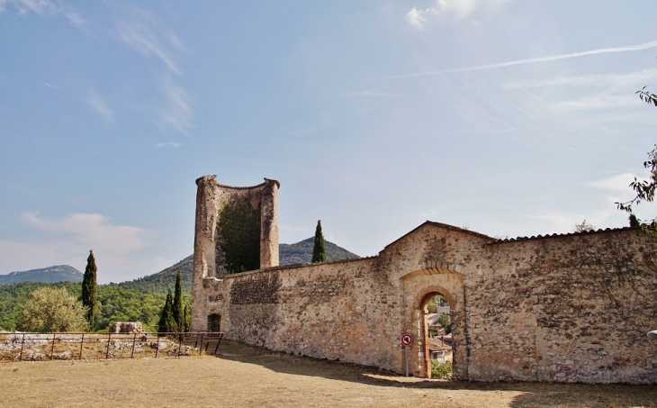 Ruines du Château - Pontevès